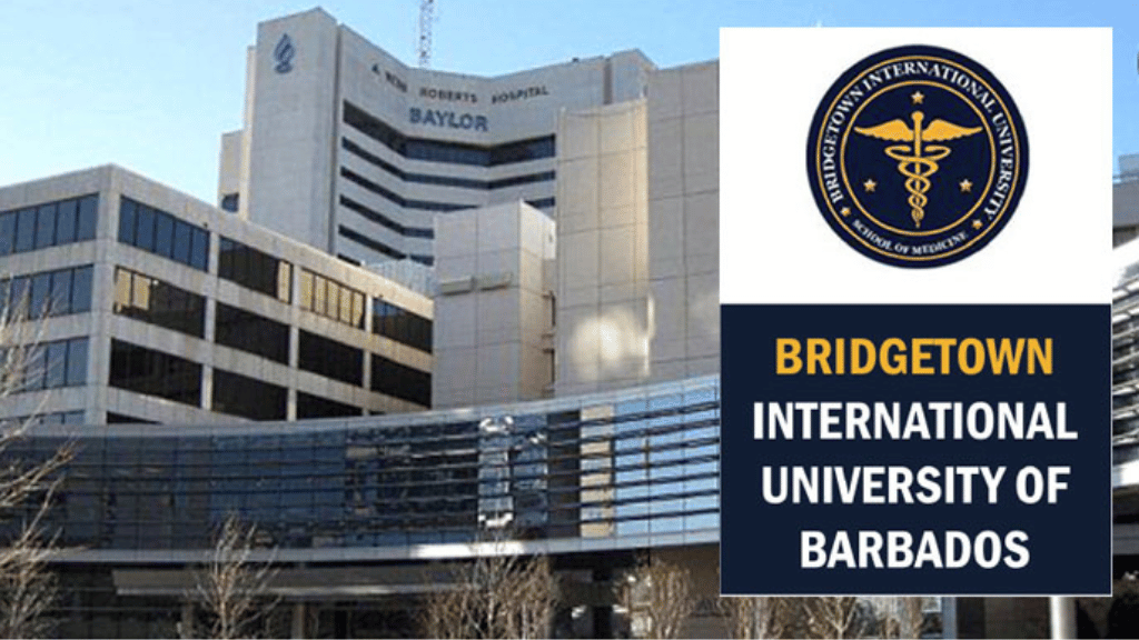 BRIDGETOWN INTERNATIONAL UNIVERSITY